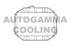 FORD 1417980 Radiator, engine cooling